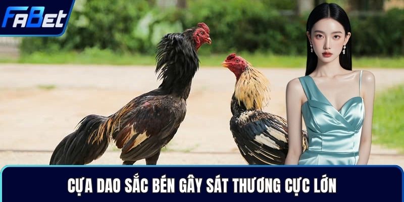 Cựa dao sắc bén gây sát thương cực lớn