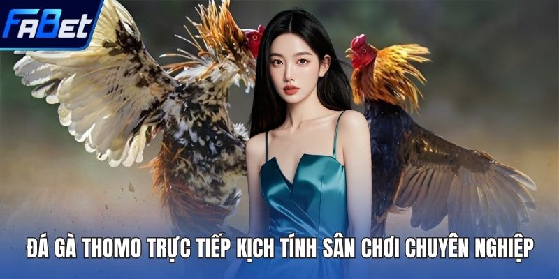 Đá Gà Thomo Trực Tiếp
