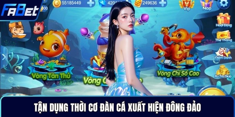 Tận dụng thời cơ đàn cá xuất hiện đông đảo