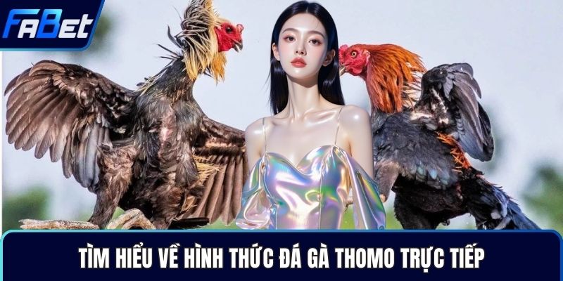 Tìm hiểu về hình thức đá gà Thomo trực tiếp