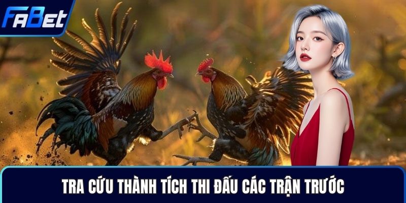 Tra cứu thành tích thi đấu các trận trước